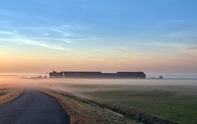 Раннее утро на поле