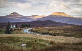 Дорога через поле в горы