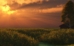 Солнечные лучи сквозь облака