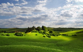 Изумрудно зеленые  холмы