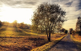 Деревенский пейзаж на закате