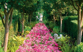 Аллея засаженная цветами