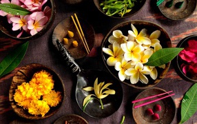 Цветочный гербарий на столе