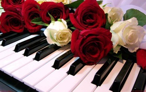 Розы на клавишах рояля