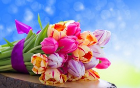 	 Bouquet of tulips