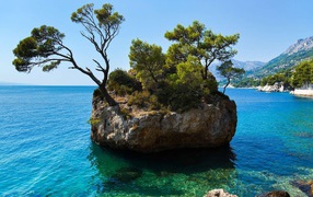 Каменный остров с деревьями