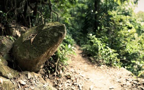 Камень у дороги