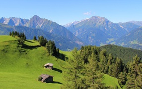 Альпийские луга и голубая даль