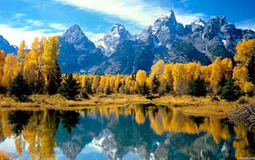 Осень в лесу у подножия гор