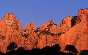 Красивый горный пейзаж с деревьями