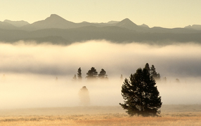Туман на долине в горах