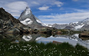 Mountain landscape with a lake and white flowers