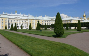 Красиво подстриженные деревья