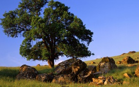 Природа штата Невада