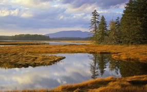 Озеро заросшее травой