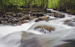 Национальный парк Теннессее
