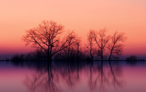 Spring dawn at lake