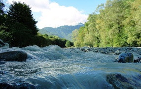 The bubbling mountain river flows