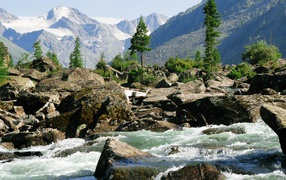 Wild mountain river
