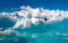 Вода и льды Антарктиды