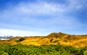 Зеленый и желтый осенний пейзаж