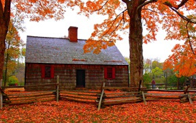 Старый дом в деревне