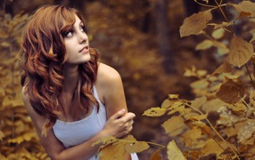 Женщине страшно в лесу осенью