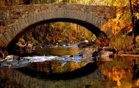 Золотой осенний пейзаж