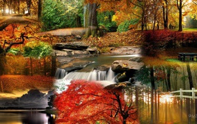 The mix of autumn photos