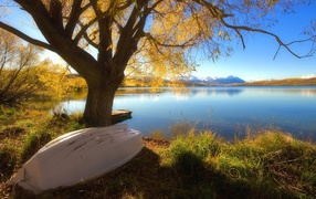 Перевернутая лодка лежит у озера