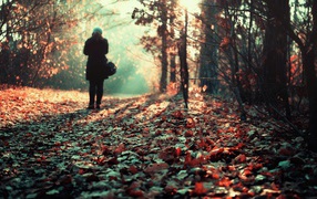 Walking in woods in autumn