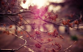 Осень в Токио