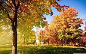 Золотая осень в деревне