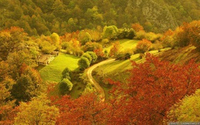 Осень вид с неба