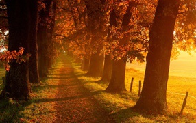 Дорога в осень