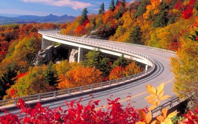 the autumn comes to highway