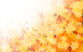 Солнце в осени
