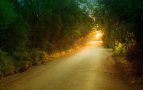 Солнце в дорожном просвете