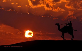 Наездник на верблюде