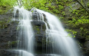 	 Cascade falls in Japan