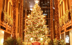 Красивая елка к Новому Году лошади