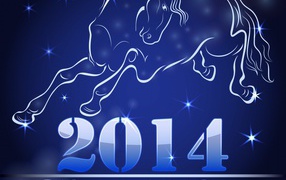 Встреча Нового 2014 Года