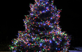 Красочная Новогодняя елка