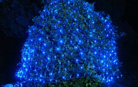 Гирлянда сеть