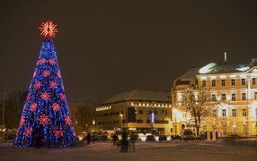 Елка на Новый Год лошади в Вильнюсе