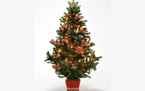 Новогодняя елка 2014 на белом фоне