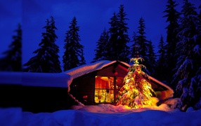 Новогодняя елка возле лесной хижины