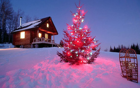 Колючии иголки на новогодней елке