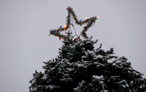 Звезда новогодней елки