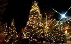 Large Christmas decorations on a Christmas tree